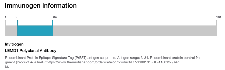 LEMD1 Polyclonal Antibody