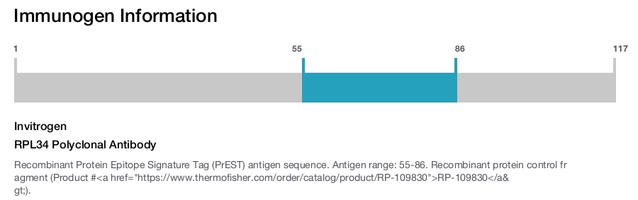 RPL34 Polyclonal Antibody