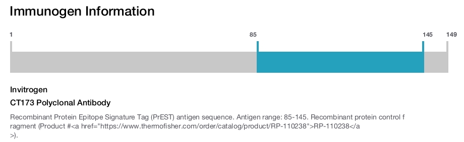 CT173 Polyclonal Antibody
