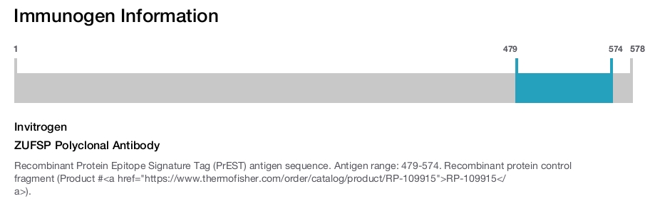 ZUFSP Polyclonal Antibody