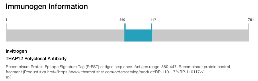 THAP12 Polyclonal Antibody