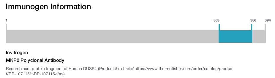 MKP2 Polyclonal Antibody