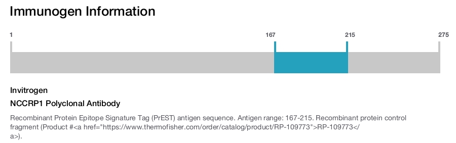 NCCRP1 Polyclonal Antibody