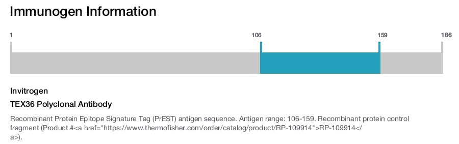 TEX36 Polyclonal Antibody