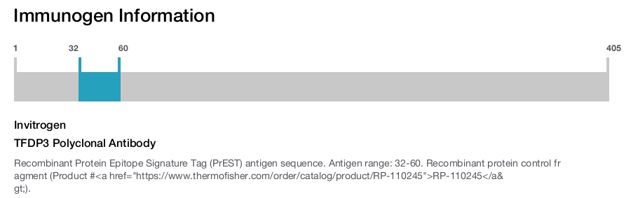 TFDP3 Polyclonal Antibody
