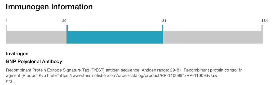 BNP Polyclonal Antibody
