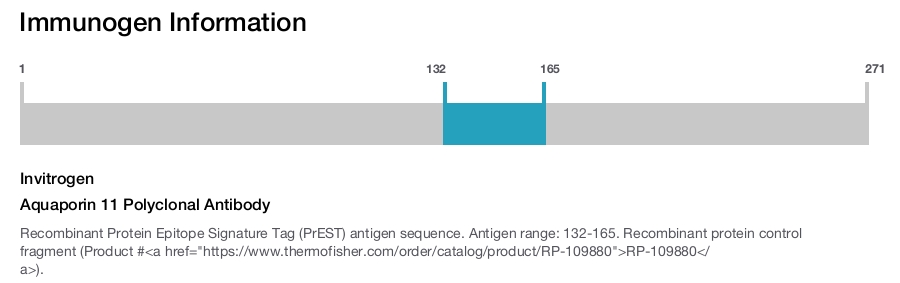 Aquaporin 11 Polyclonal Antibody