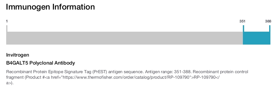 B4GALT5 Polyclonal Antibody