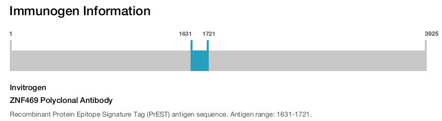 ZNF469 Polyclonal Antibody