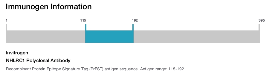 NHLRC1 Polyclonal Antibody
