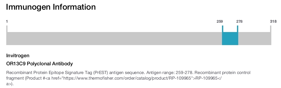 OR13C9 Polyclonal Antibody