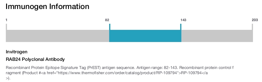 RAB24 Polyclonal Antibody