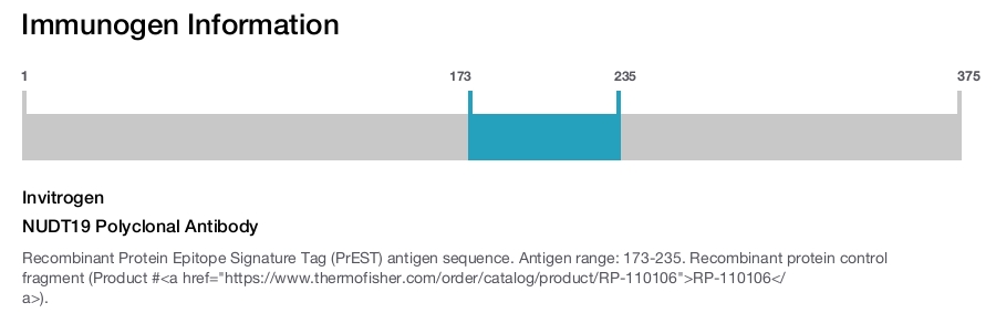 NUDT19 Polyclonal Antibody