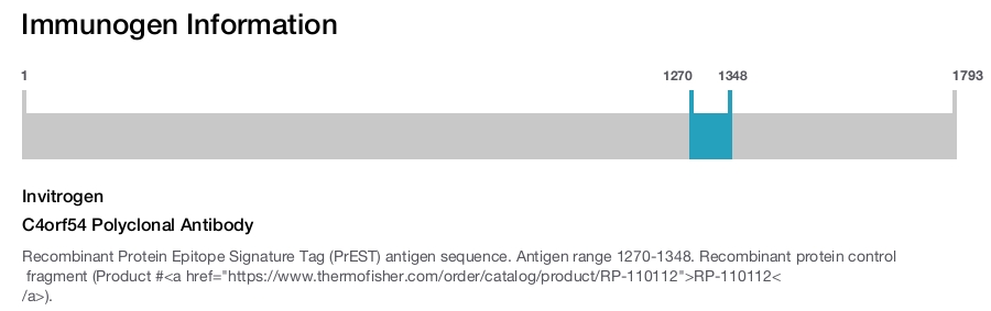 C4orf54 Polyclonal Antibody
