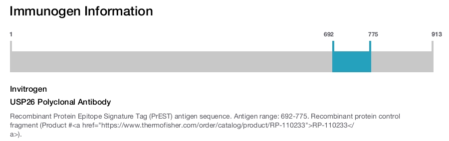 USP26 Polyclonal Antibody