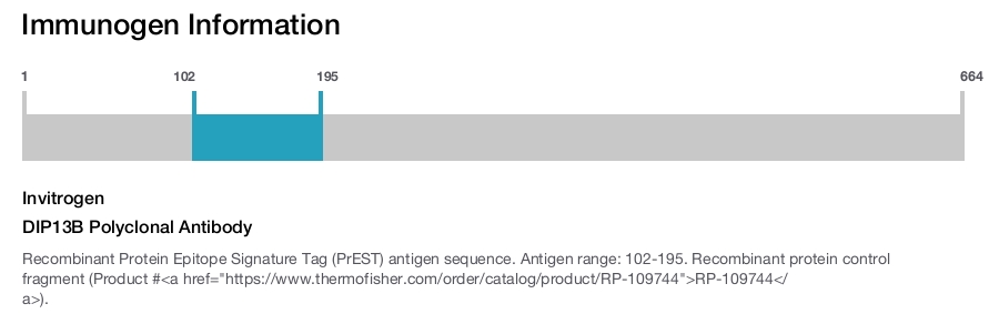 DIP13B Polyclonal Antibody