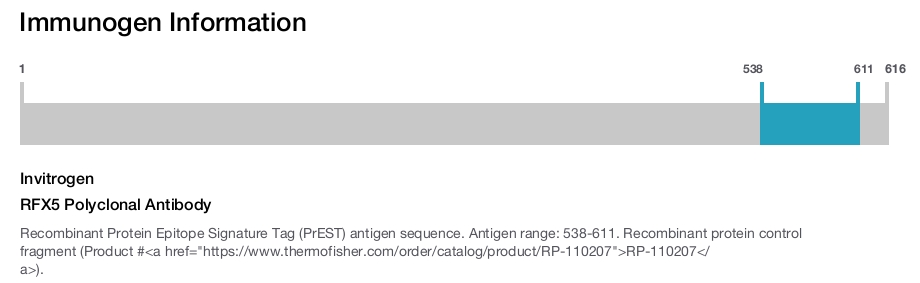 RFX5 Polyclonal Antibody