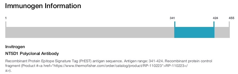 NT5D1 Polyclonal Antibody