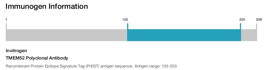 TMEM52 Polyclonal Antibody