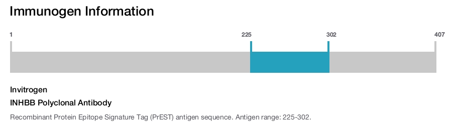 INHBB Polyclonal Antibody