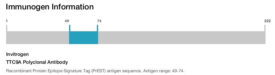 TTC9A Polyclonal Antibody