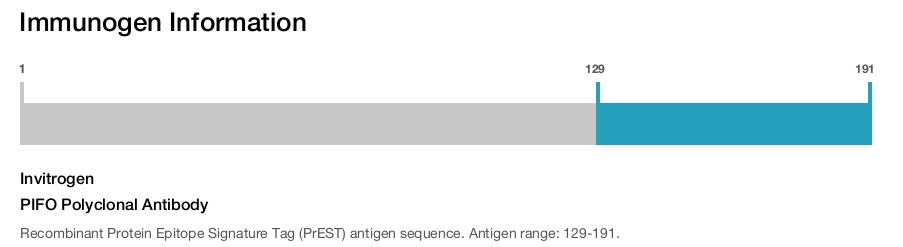 PIFO Polyclonal Antibody
