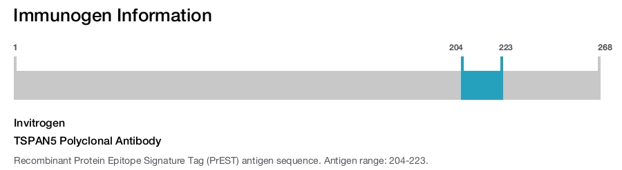 TSPAN5 Polyclonal Antibody