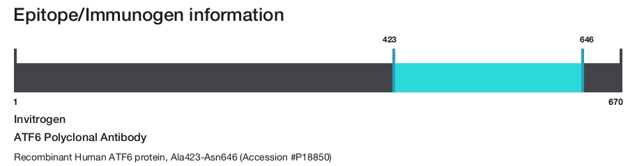 ATF6 Polyclonal Antibody