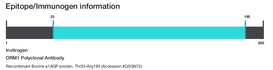 ORM1 Polyclonal Antibody