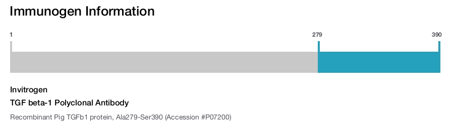 TGF beta-1 Polyclonal Antibody