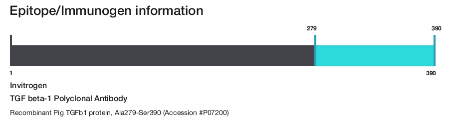 TGF beta-1 Polyclonal Antibody