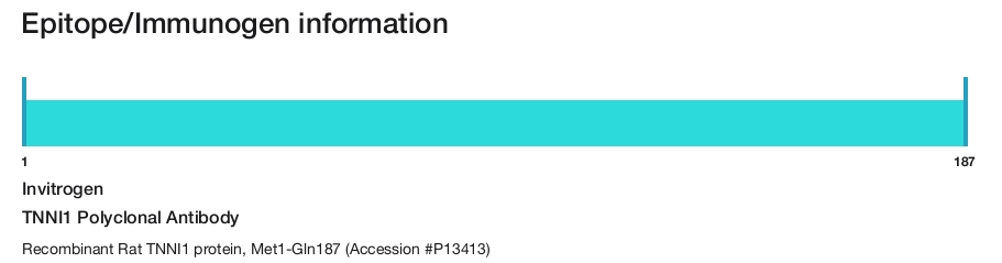 TNNI1 Polyclonal Antibody