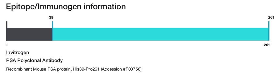 PSA Polyclonal Antibody