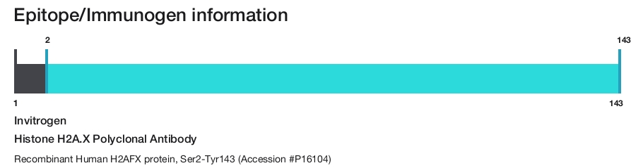 Histone H2A.X Polyclonal Antibody