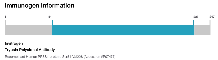 Trypsin Polyclonal Antibody