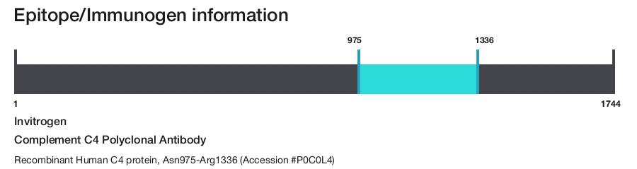 Complement C4 Polyclonal Antibody