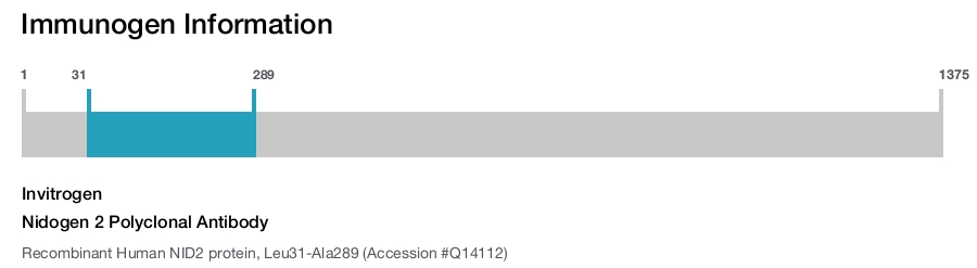 Nidogen 2 Polyclonal Antibody