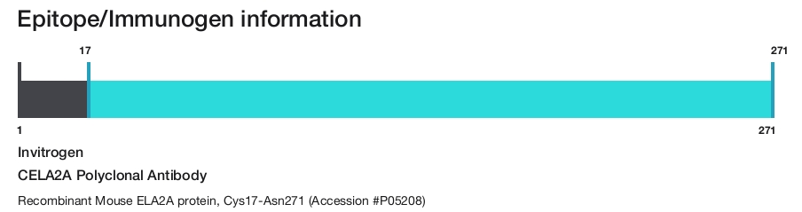 CELA2A Polyclonal Antibody