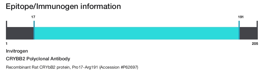 CRYBB2 Polyclonal Antibody