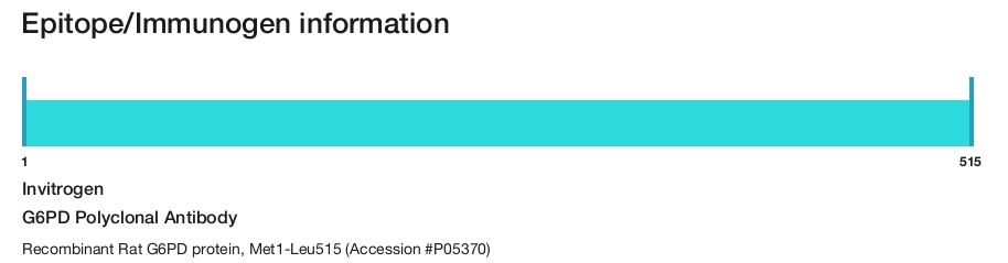 G6PD Polyclonal Antibody