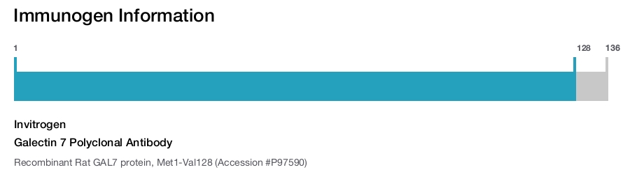 Galectin 7 Polyclonal Antibody