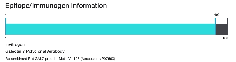 Galectin 7 Polyclonal Antibody