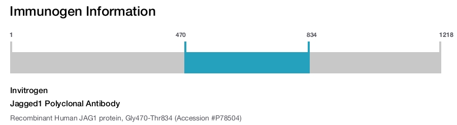 Jagged1 Polyclonal Antibody
