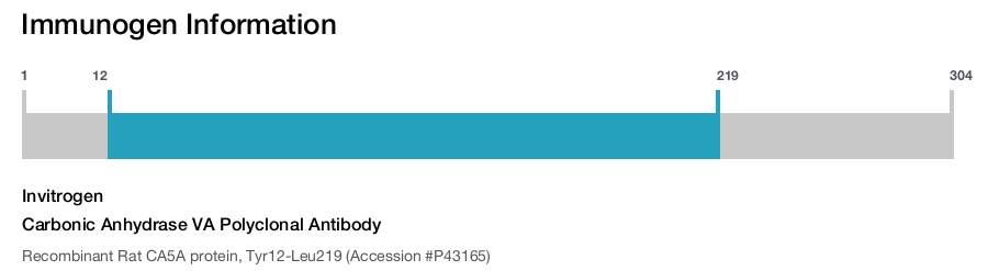 Carbonic Anhydrase VA Polyclonal Antibody