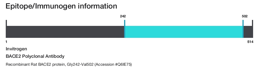 BACE2 Polyclonal Antibody