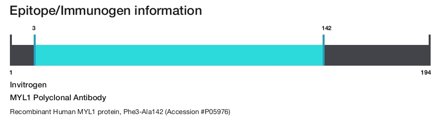 MYL1 Polyclonal Antibody