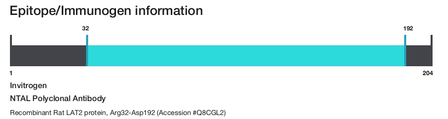 NTAL Polyclonal Antibody