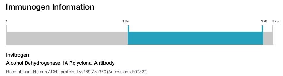 Alcohol Dehydrogenase 1A Polyclonal Antibody