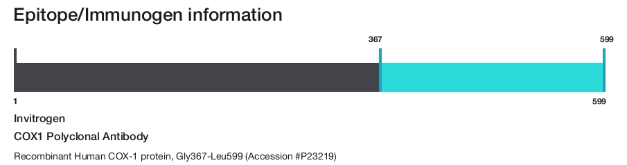 COX1 Polyclonal Antibody