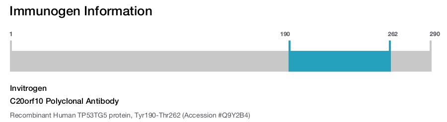 C20orf10 Polyclonal Antibody